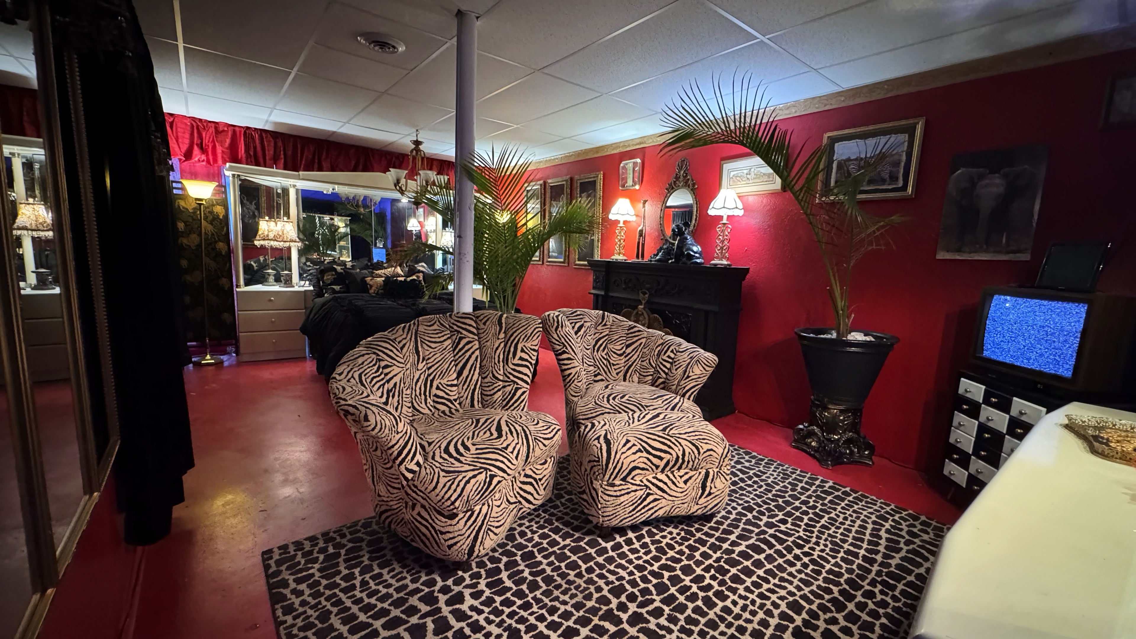 🖤 ZURI Vintage Animal Print Bedroom & Lounge Set | Luxury Content Studio Rental Dallas (DFW)
