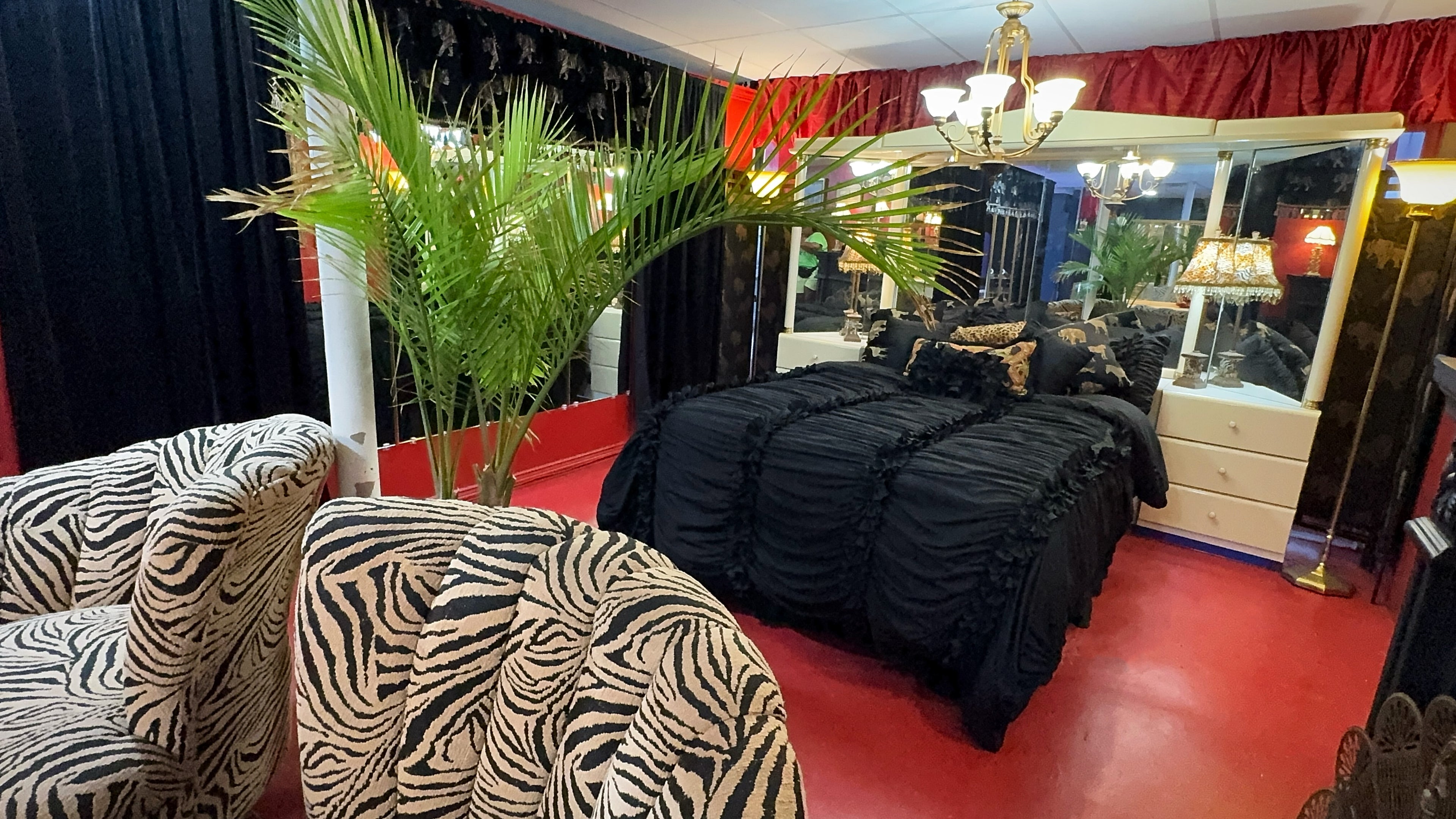 🖤 ZURI Vintage Animal Print Bedroom & Lounge Set | Luxury Content Studio Rental Dallas (DFW)