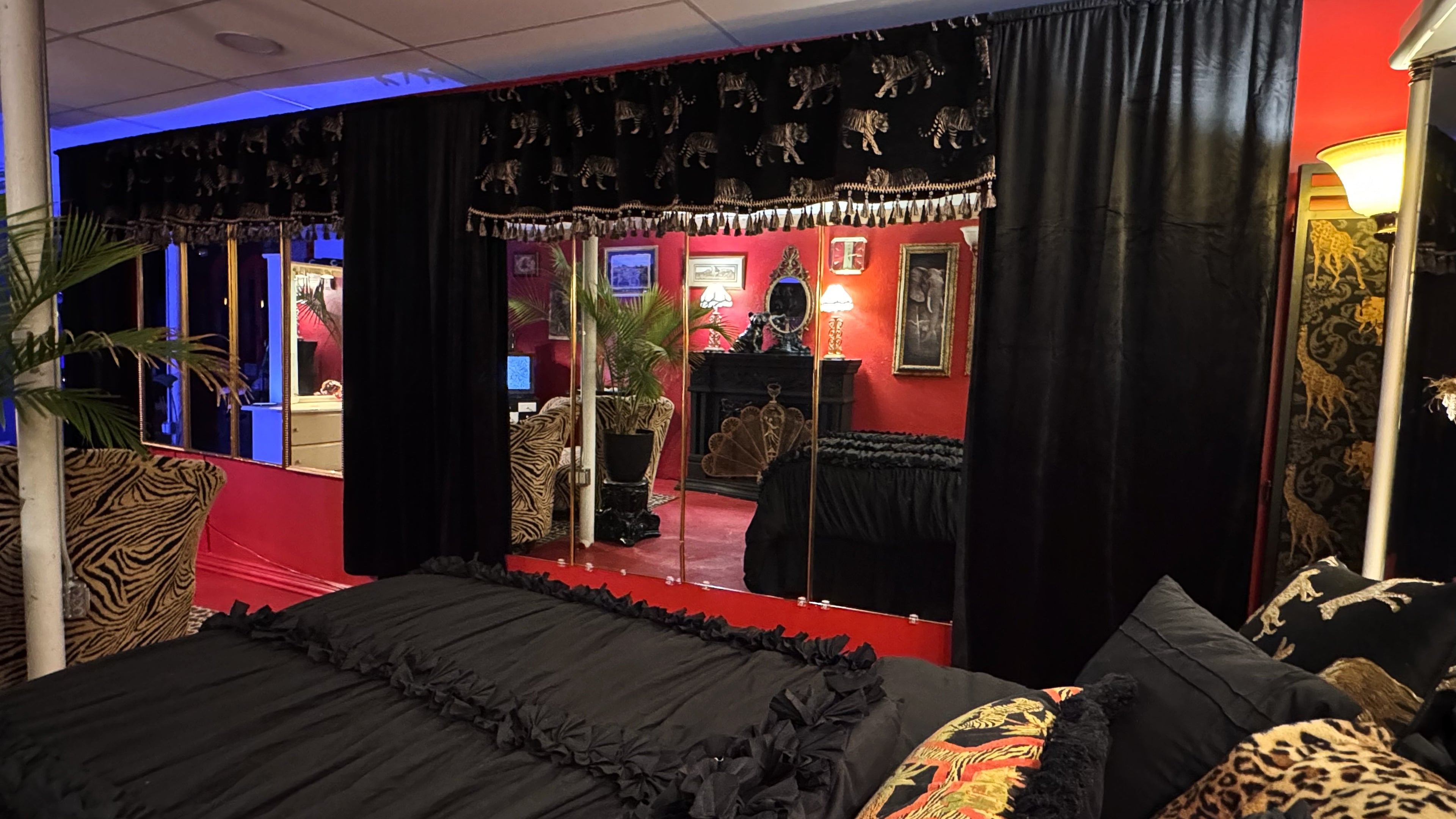 🖤 ZURI Vintage Animal Print Bedroom & Lounge Set | Luxury Content Studio Rental Dallas (DFW)
