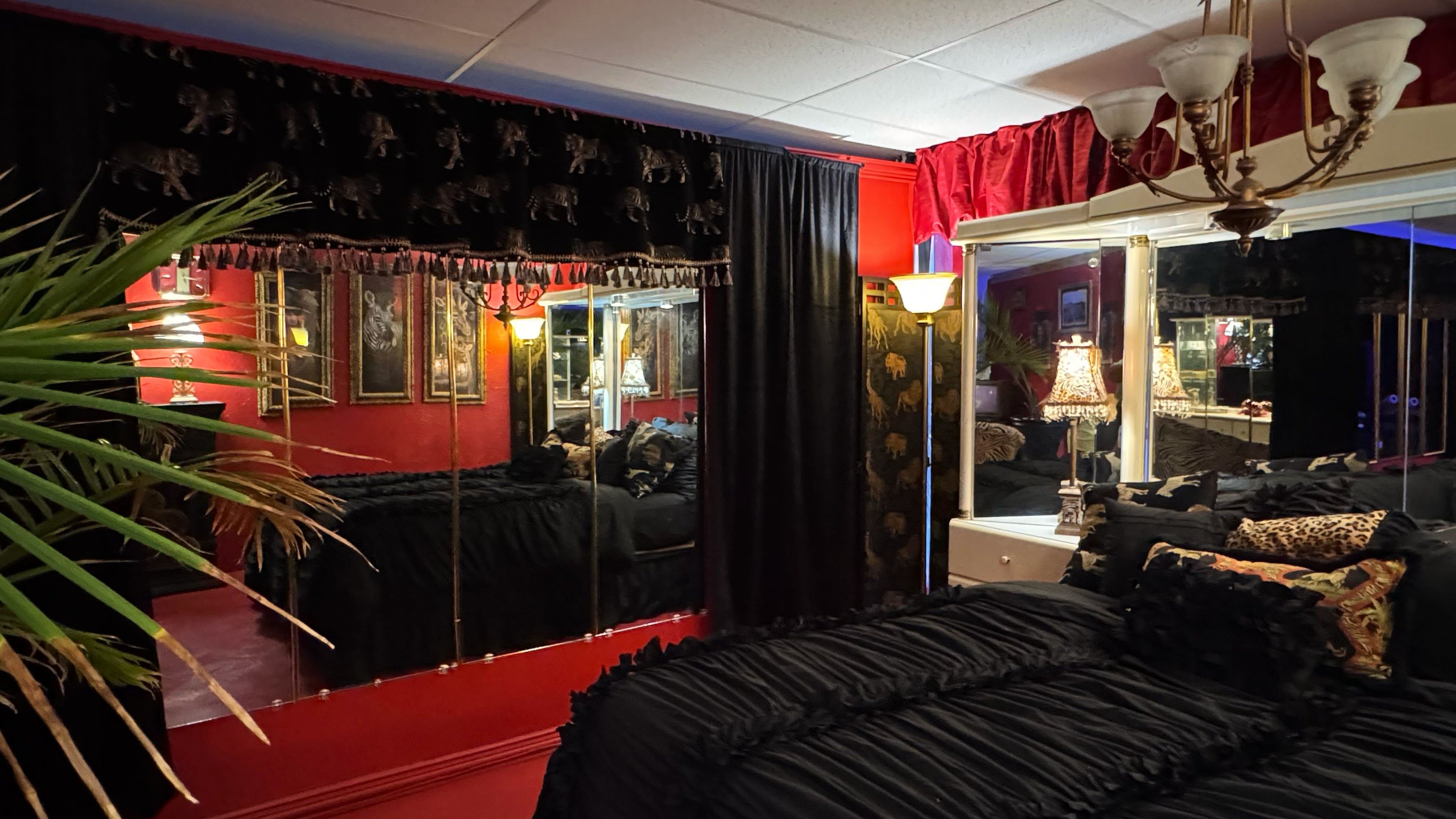 🖤 ZURI Vintage Animal Print Bedroom & Lounge Set | Luxury Content Studio Rental Dallas (DFW)